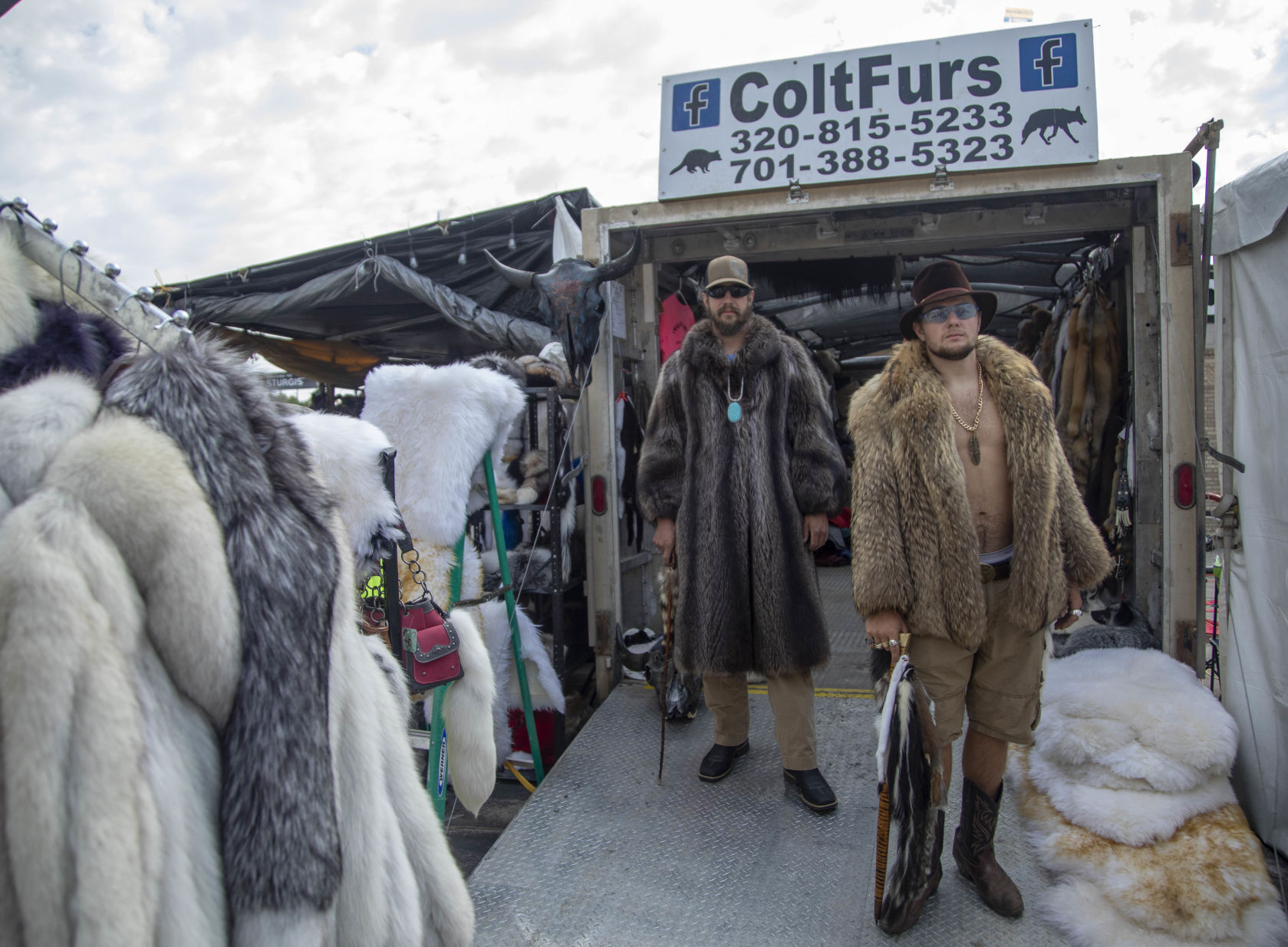 Colt Furs Portrait